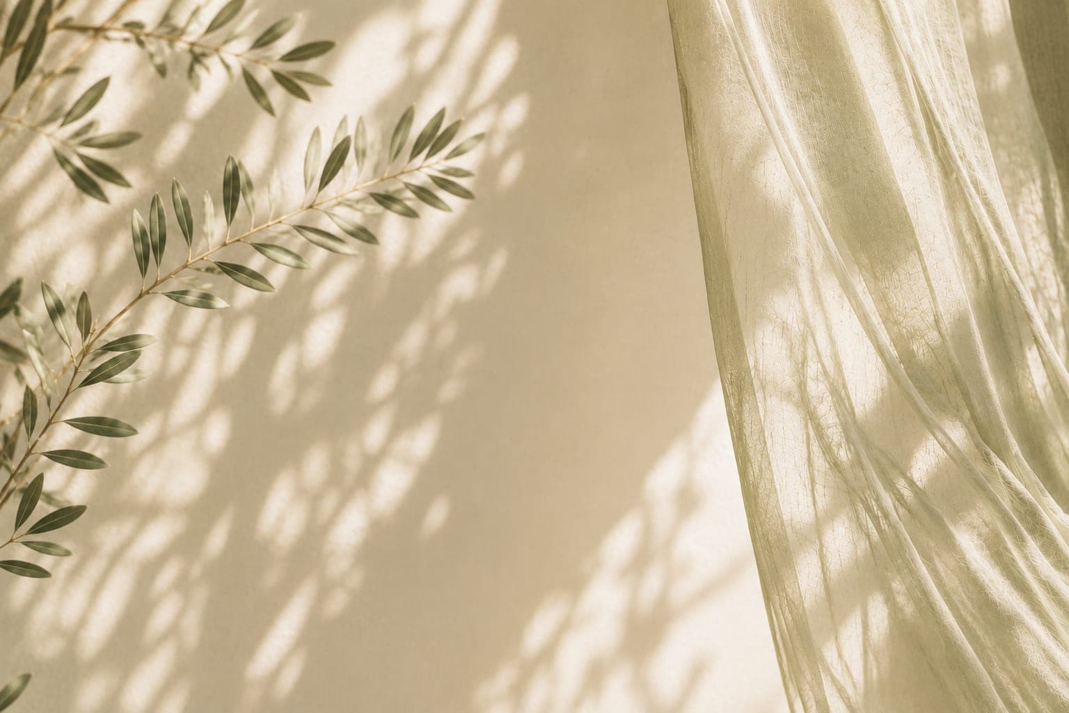 Olive-leaf shadows and a sage sheer curtain in afternoon light